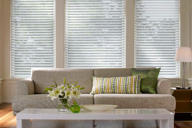 Window Shadings by Enlightened Style