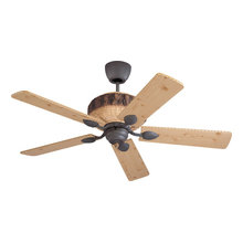 Ceiling Fans