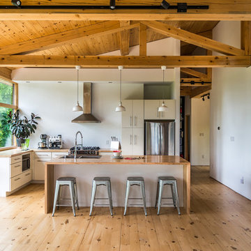Tree Top Modern