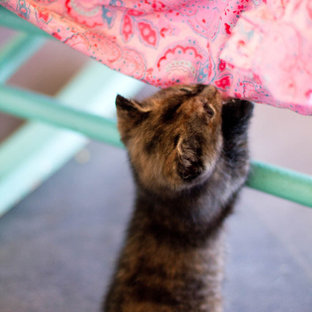 Idée de décoration pour une maison champêtre.