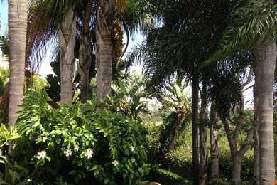 Inspiration for a landscaping in Orange County.