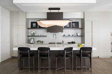 Example of a minimalist kitchen design in Denver