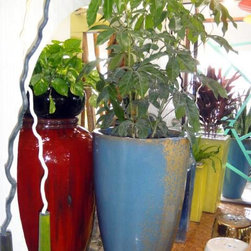 Container gardening - Products