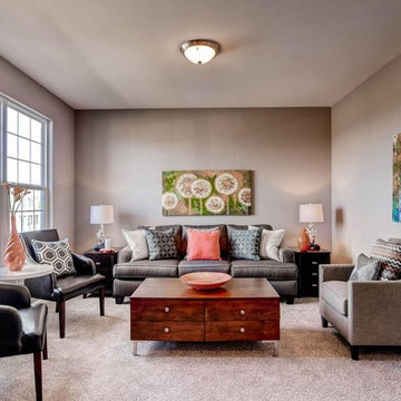 Transitional Living Room