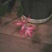 Foto von Cindy Hightower