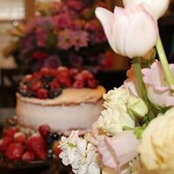 Kristina Brattin's photo