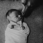 Josey Perritt's photo