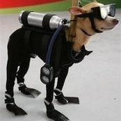 Foto de Rusty Toppel
