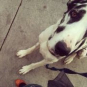 Karina Urias's photo
