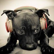 Дмитрий Иванов's photo