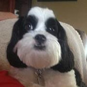 Michelle Proffer's photo