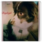 Harrison Funk's photo