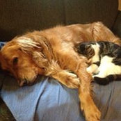 Pat Guerrera's photo
