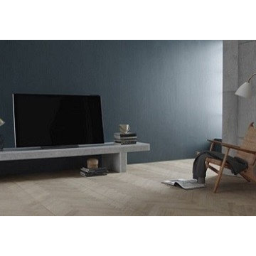 BeoVision Avant