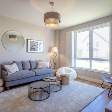 Dublin Show House