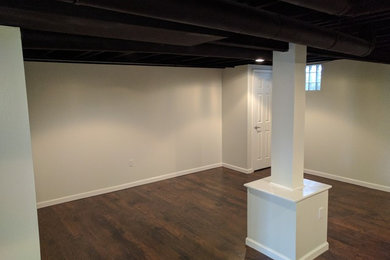 Basement Remodel