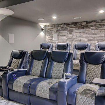 Theater Room and Whole Home Audio