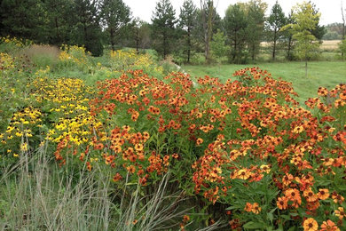 This is an example of a traditional landscaping in Burlington.