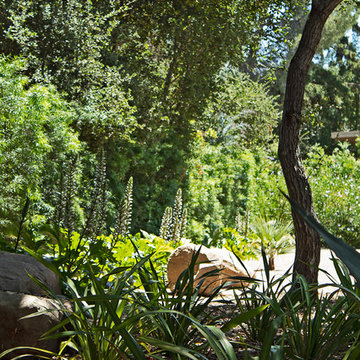 New 1-Year-Old Garden