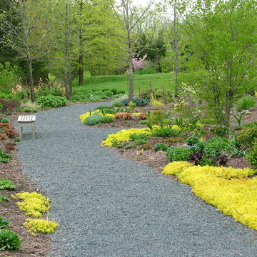 Deer Resistant Garden