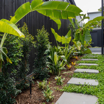 Inner City Tropical Paradise