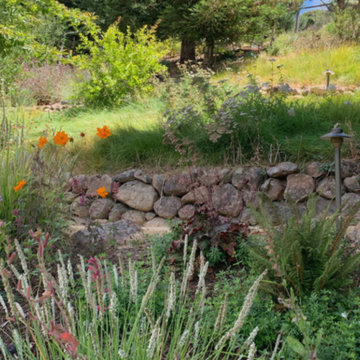 Hillside Flower Meadow + Food Forest