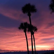 Helen Drone's photo