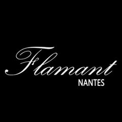 Flamant Nantes