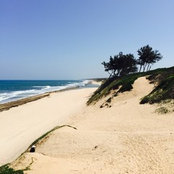 Foto von Mofedi Nkabinde