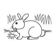 Bunni Menius's photo