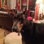 Liz Huszarik's photo
