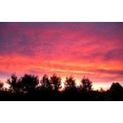 Sara Billotti's photo