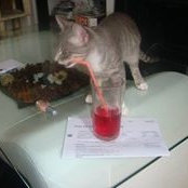 Samira Mengrani's photo