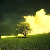 Hani Sedawy's photo