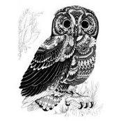 Jay York's photo