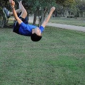 Max Lee's photo