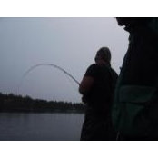 Mark Pasquariello's photo