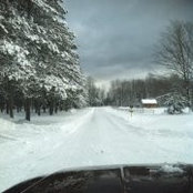 Denise Harp's photo