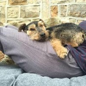 Adele Peat's photo