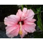 Richard Wyatt's photo