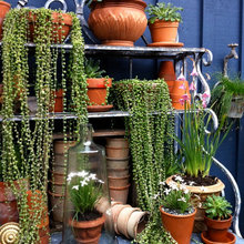 Gardening.............. love my plants