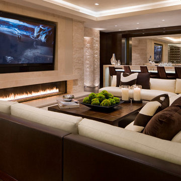Contemporary Family Room