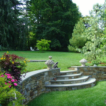 Collector's Garden
