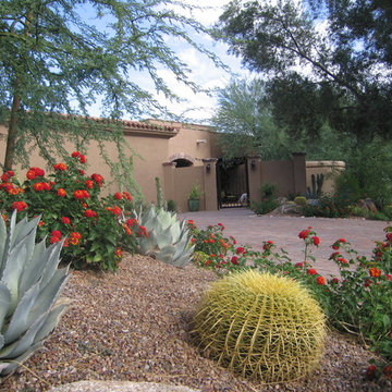 Happy Together! Colorful Desert Plant Combinations