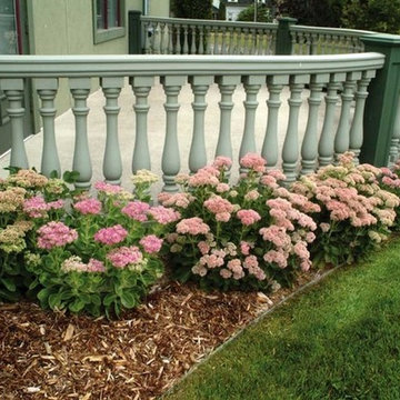 PRO Aluminum Edging Projects