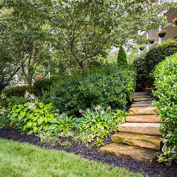 Lawrenceville Landscape