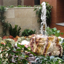 plantas piscina