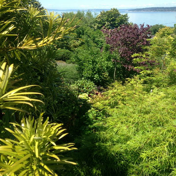 Golden Gardens Bluff