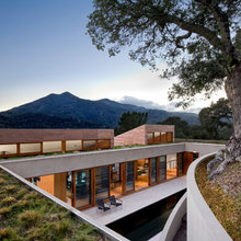 ARQ