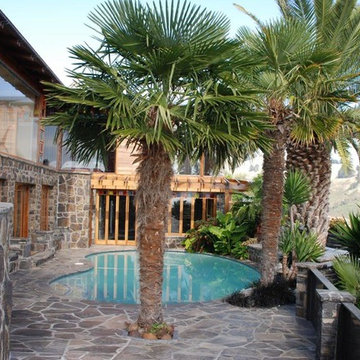 Coastal Palm Garden